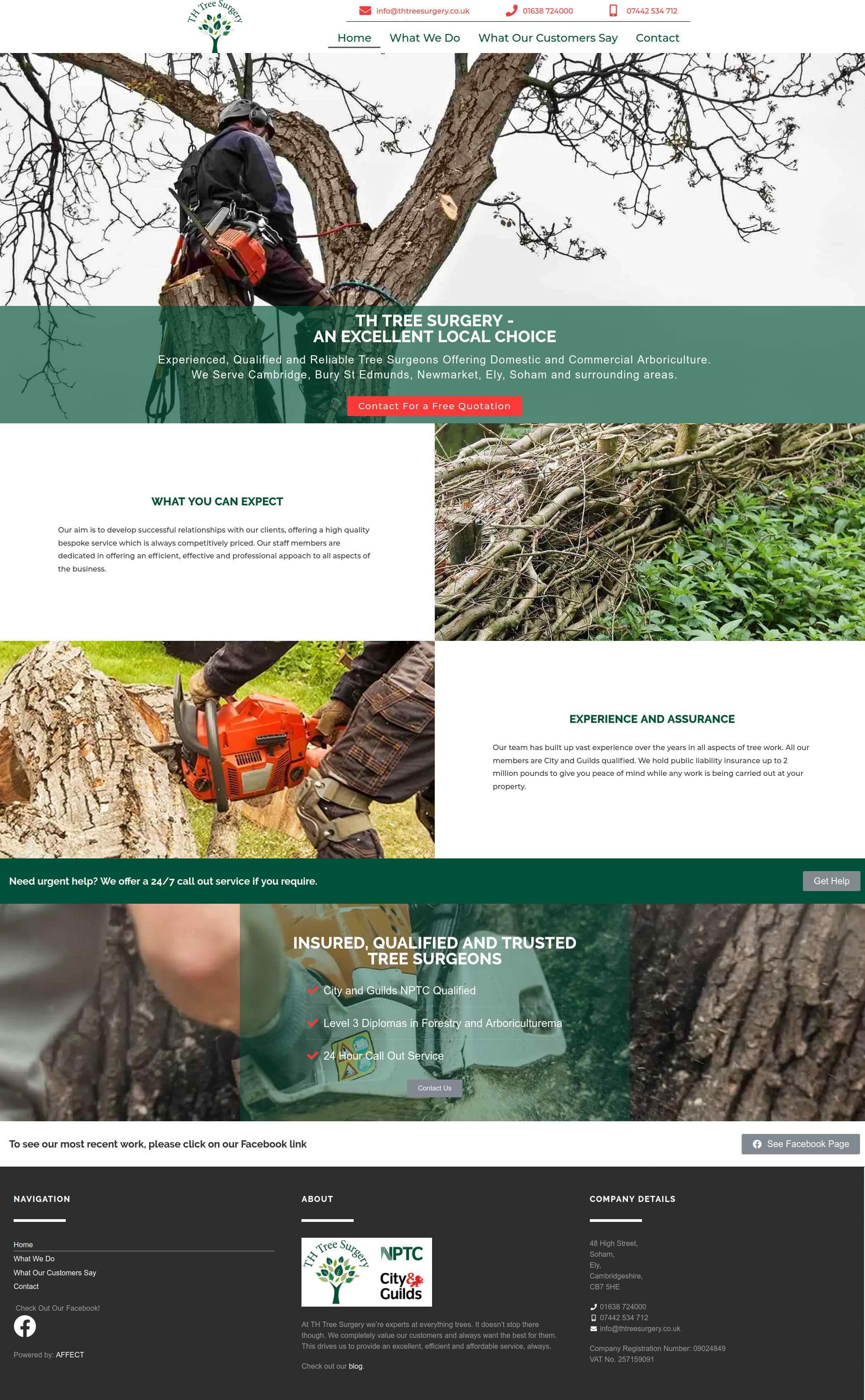 Th Tree Surgery website screenshot.