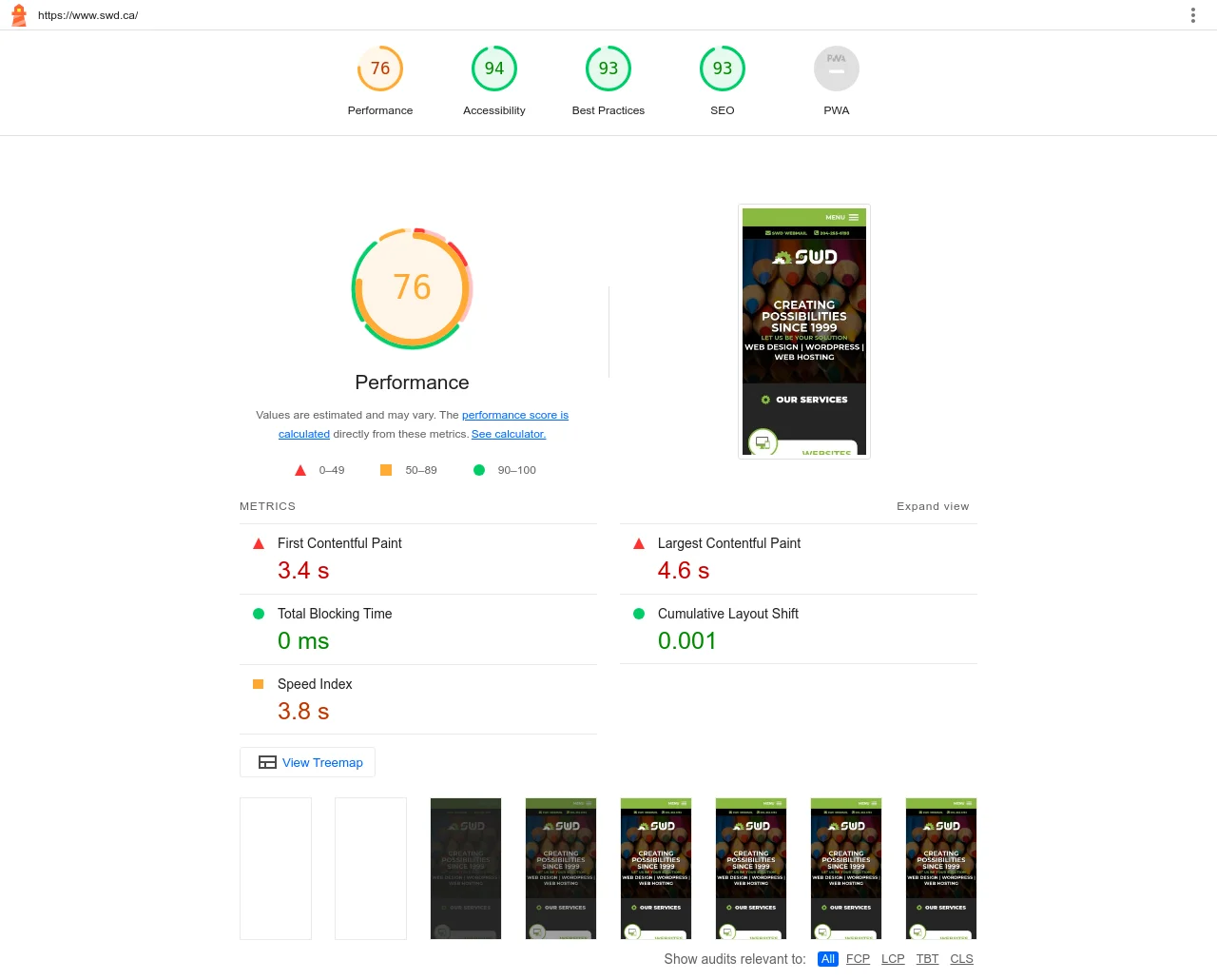 SWD Lighthouse performance report.